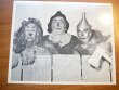 Wizard of Oz picture from MGM movie. Cowardly Lion, Scarecrow, TinMan 8x10 