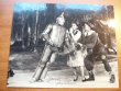 Wizard of Oz picture from MGM movie. Cast photo  8x10 