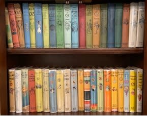 Set of 40 Oz series books