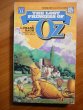 Lost Princess of Oz by DelRey - Softcover - 1991