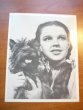 Wizard of Oz picture from MGM movie. Dorothy with Toto. 8x10 