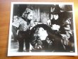 Wizard of Oz picture from MGM movie. Cast  with Witch  8x10