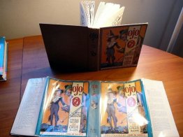 Ojo in Oz. 1st edition with 12 color plates in 1st edition dust jacket (c.1933). Sold 7/21/13 - $1000.0000