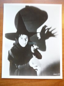 Wizard of Oz picture from MGM movie. Witch  8x10 - $10.0000