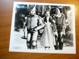 Wizard of Oz picture from MGM movie.  8x10  - $10.0000