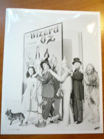 Wizard of Oz picture from MGM movie.  8x10  - $10.0000