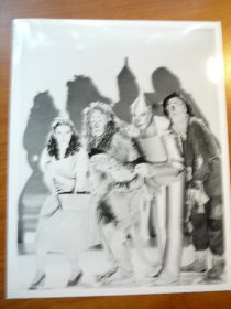Wizard of Oz picture from MGM movie.  8x10 - $10.0000